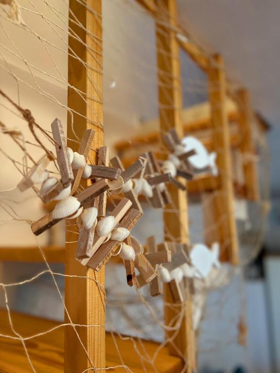 Fotografie z fotogalerie ubytování Little home v Rabu