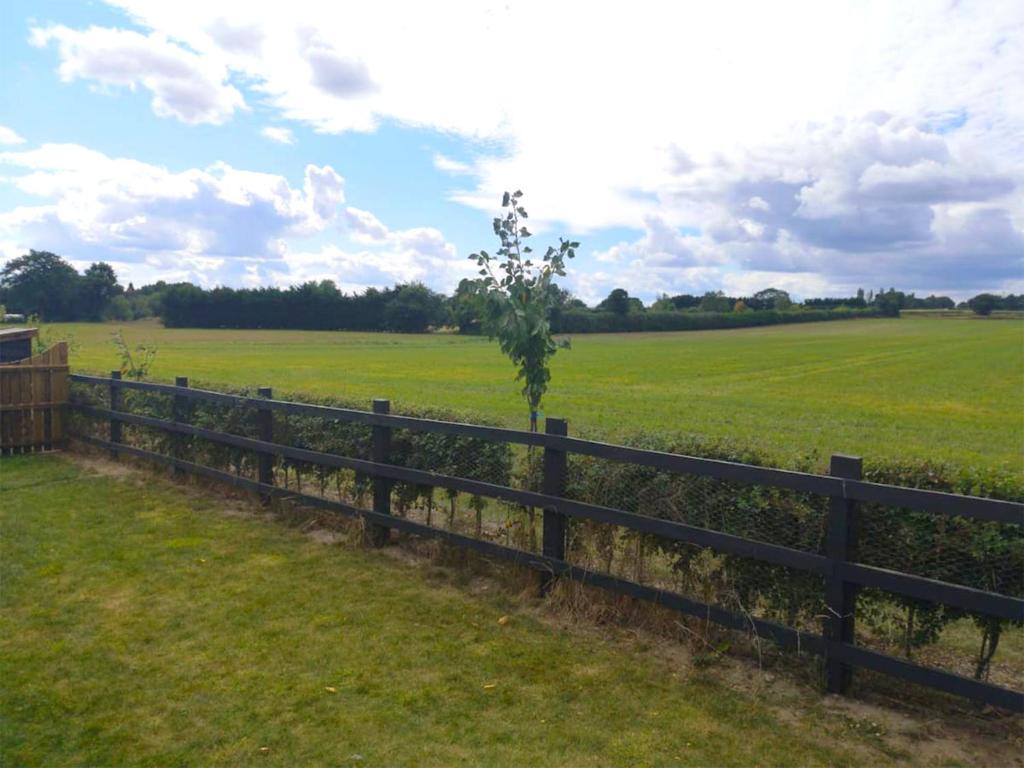 Dragons Den - Resim 8