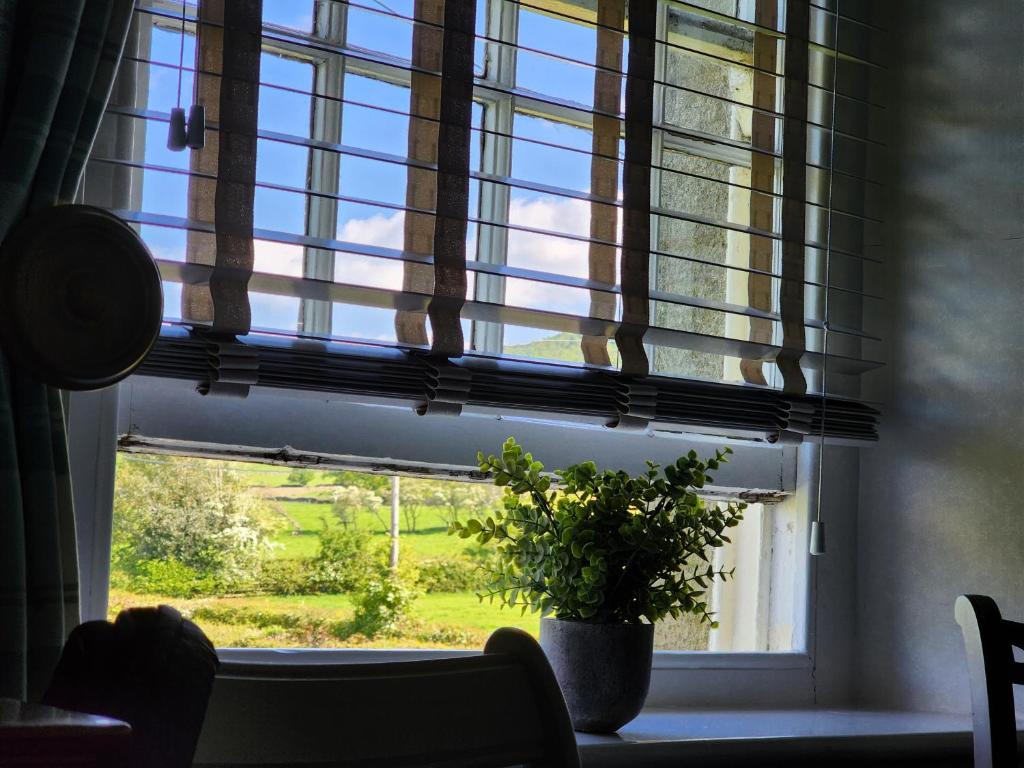 a window with a potted plant in a room at Bewerley Hall farm in Harrogate