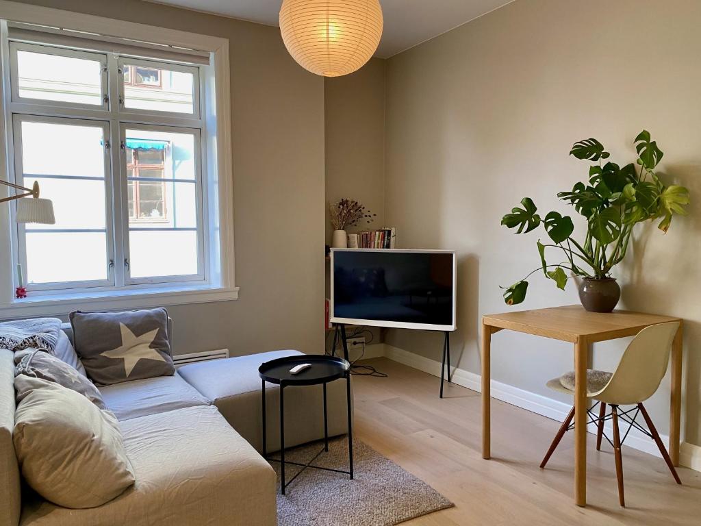 a living room with a couch and a tv at Briskeby Bliss in Oslo