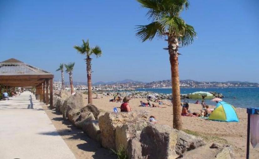 sur une plage avec des palmiers et l'océan dans l'établissement Floramarine, à Saint-Raphaël