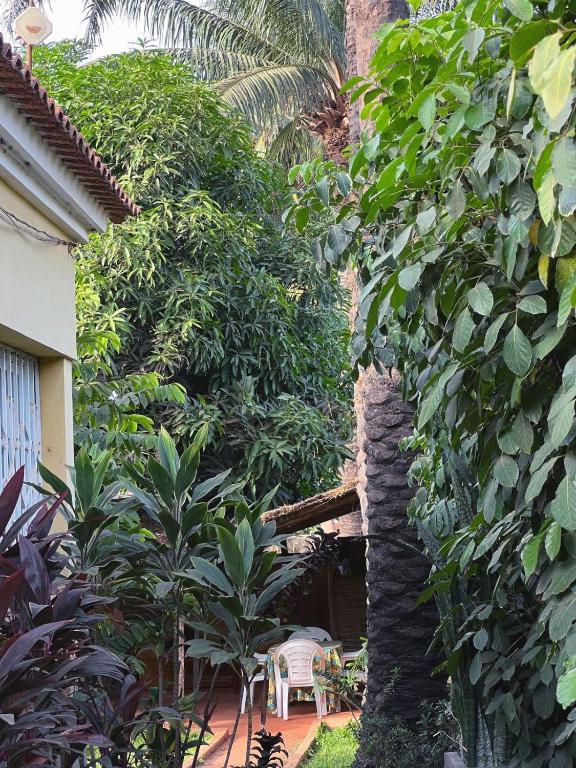 Zahrada ubytování Casa Cacheu Homestay Guest House