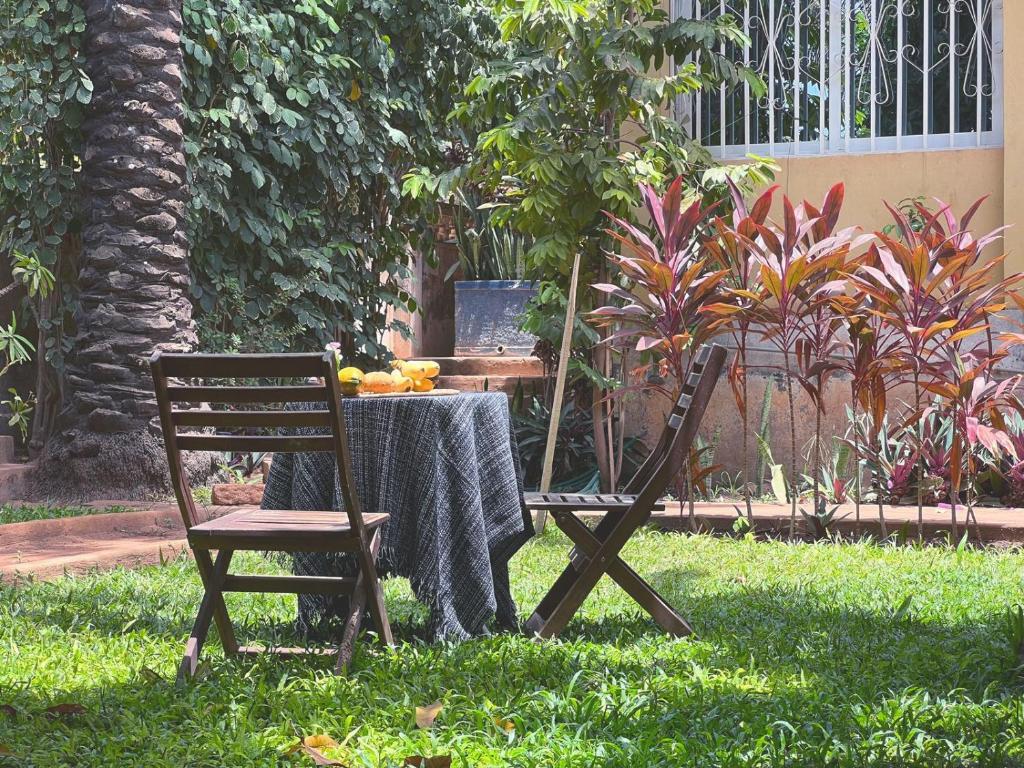 Zahrada ubytování Casa Cacheu Homestay Guest House