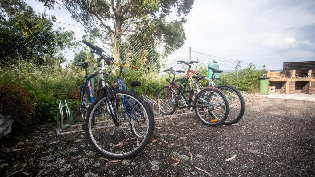 Jazda na bicykli v okolí ubytovania Estudio con piscina en A Guarda- Pontevedra