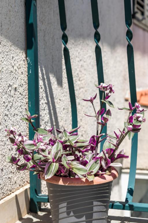 Zahrada ubytování Luxury apartment Silvana with beautiful garden