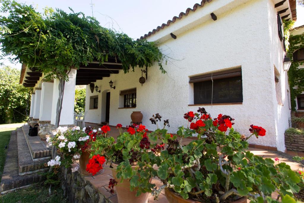 Fotografie z fotogalerie ubytování La Casa del Torreón v destinaci Aljaraque