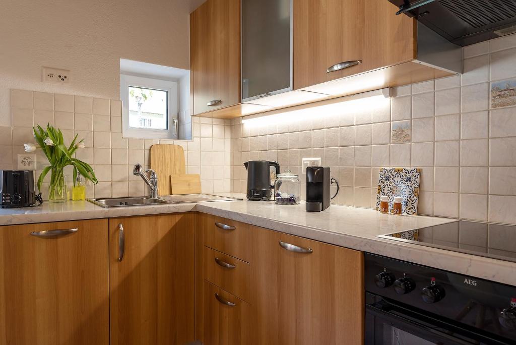 Kuchyň nebo kuchyňský kout v ubytování Massaresc apartment