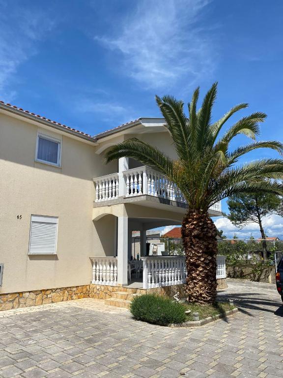 a palm tree in front of a house at Apartman Palma in Vir