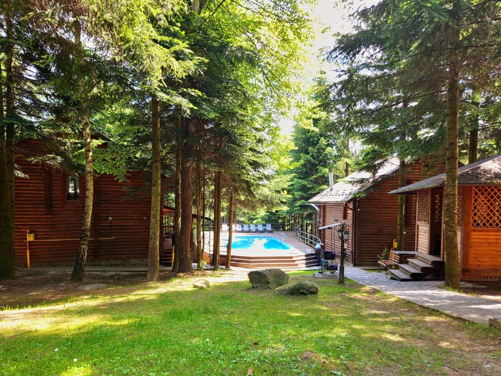 ミホヴォにあるGostynniy Dvir Коттеджиの家とスイミングプールのある庭