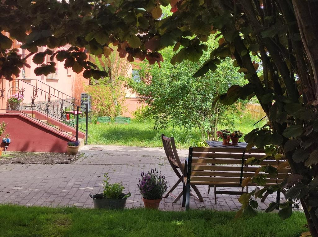 a park bench and a table with potted plants at Storchennest mit großem Garten für Urlaubsgäste in Nauen