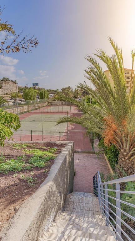 Tenis alebo squash v ubytovaní Apartment Orlando alebo jeho okolí
