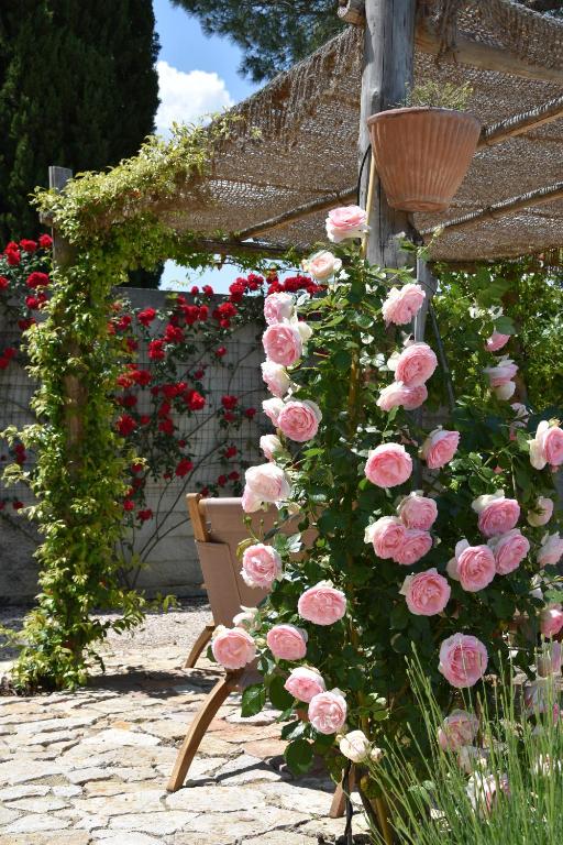 Zahrada ubytování Le case di Lisetta Holiday homes