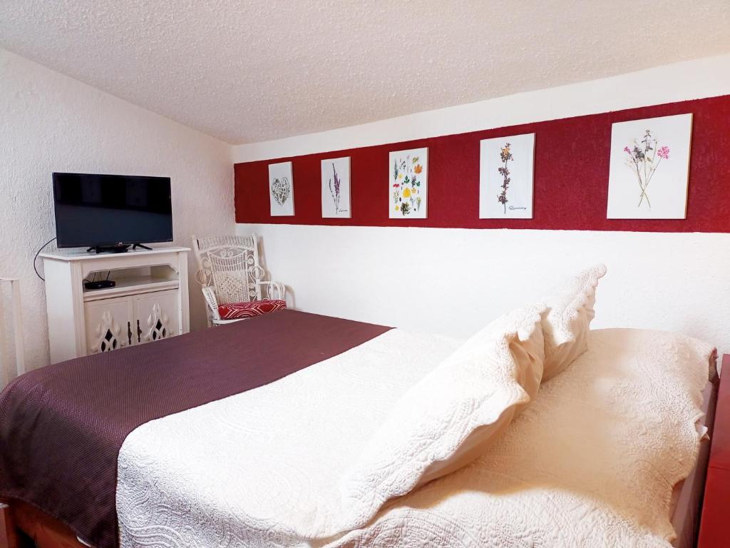 1 dormitorio con 1 cama y TV de pantalla plana en Suite 3C, Jacaranda, Garden House, Wewlcome to San Angel, en Ciudad de México