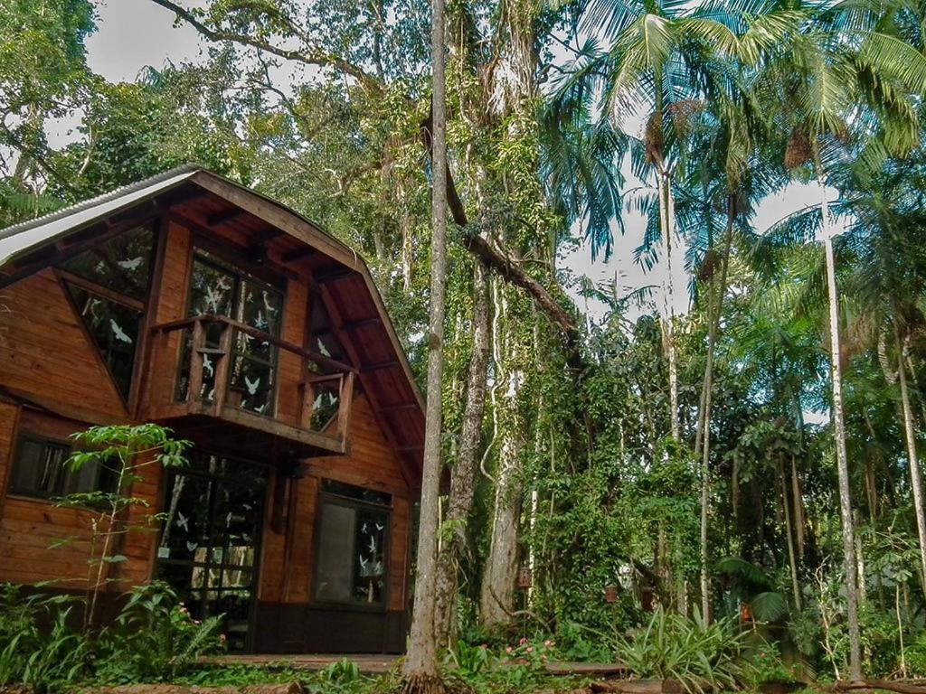 uma casa na árvore no meio de uma floresta em Surucua Reserva & Ecolodge em Comandante Andresito