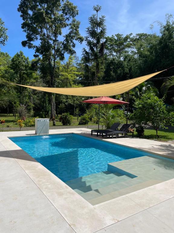 Piscine de l'établissement La Amapola Lodge, Bungalow en Península de Osa. ou située à proximité