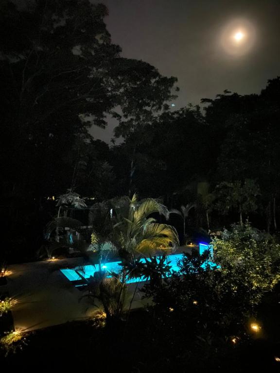 Piscine de l'établissement La Amapola Lodge, Bungalow en Península de Osa. ou située à proximité