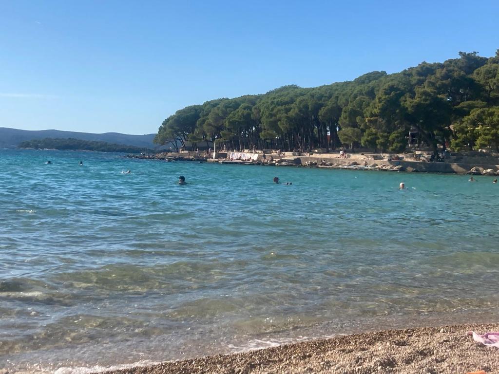 Laca, Biograd na Moru (updated prices 2026)