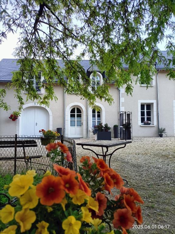 Vonkajšia záhrada v ubytovaní VILLA ESPERANZA Chambre de plain-pied, indépendante, proche Zoo de Beauval et Châteaux de La Loire