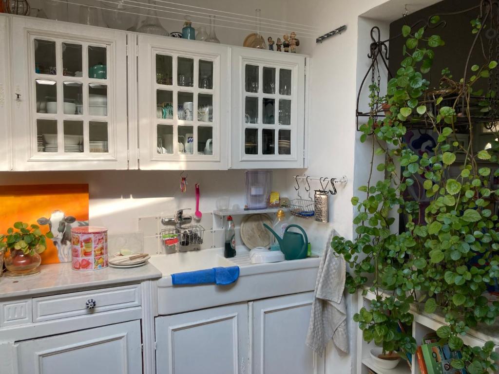 a kitchen with white cabinets and a green plant at Emcée B&B in Kapellen