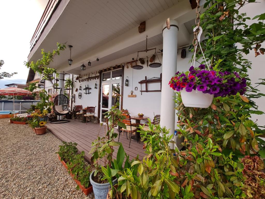 een veranda met planten en bloemen in emmers bij CASA ARYAN in Sînpetru