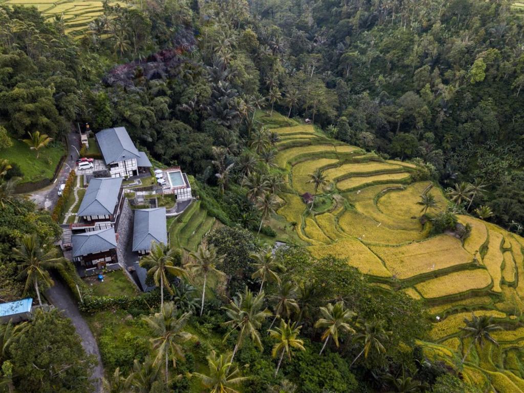 Vue aérienne d'une maison sur une colline plantée de palmiers dans l'établissement Suarapura Resort & Spa, à Tegalalang