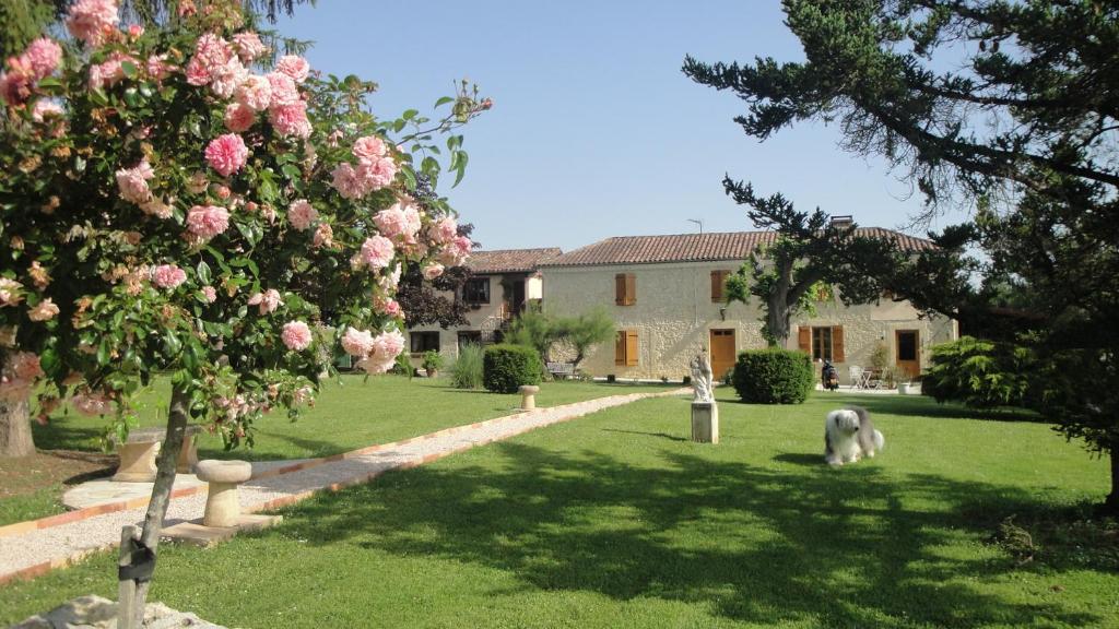 a dog is standing in the yard of a house at Domaine de Poudos in Auterive