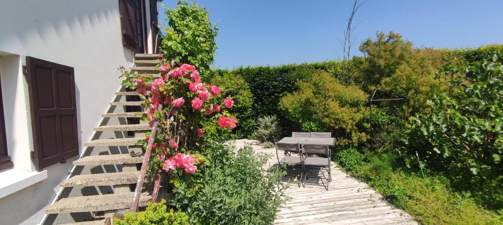 um jardim com flores cor-de-rosa e uma escada de madeira em Le Bout des Dunes, baie de Somme em Saint-Quentin-en-Tourmont