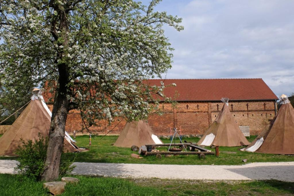 a group of tents in a field next to a building at Kuckunniwi Tipidorf in Werder