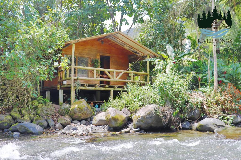 a wooden cabin in the woods next to a river at River Song's Hotel in Mindo