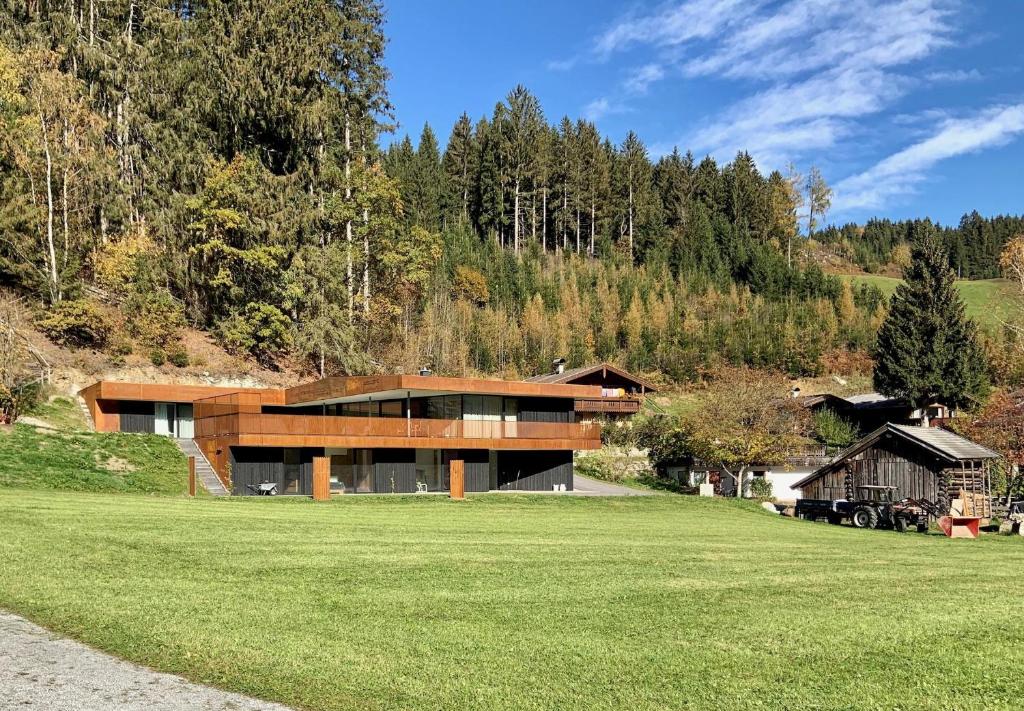 una casa en medio de un campo de hierba en Apartment GIDI und LISL, en Bramberg am Wildkogel