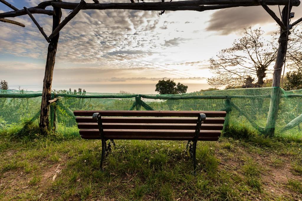 Příroda nedaleko venkovského domu