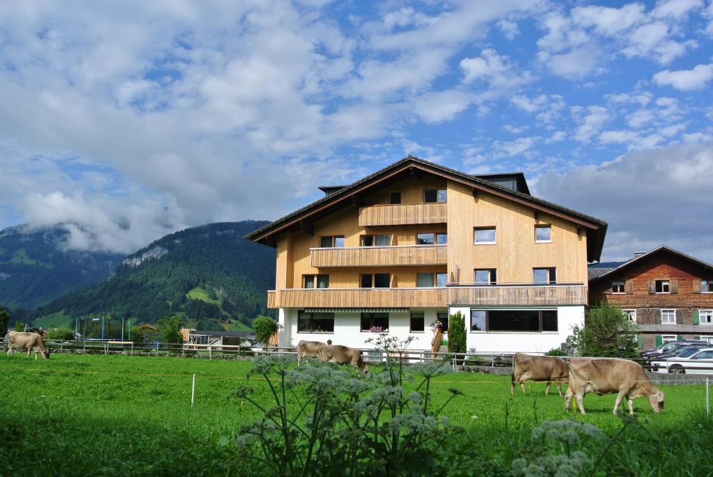 Příroda nedaleko apartmánu