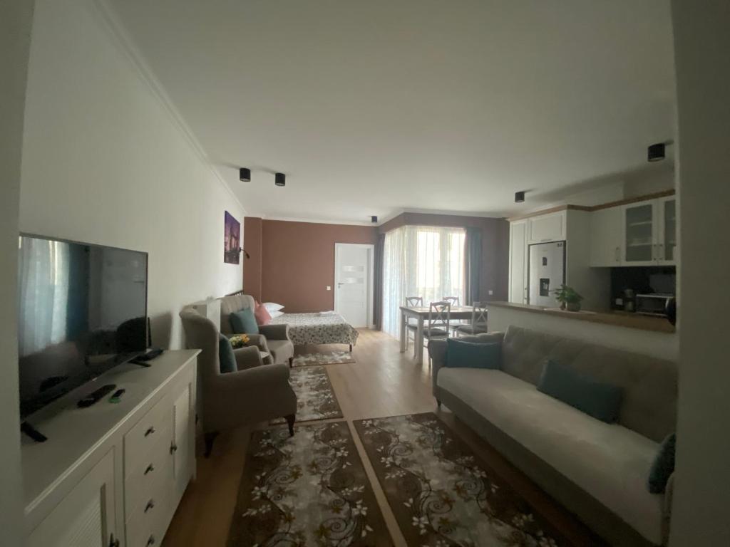 a living room with a couch and a tv and a kitchen at Central Park Apartment in Cluj-Napoca