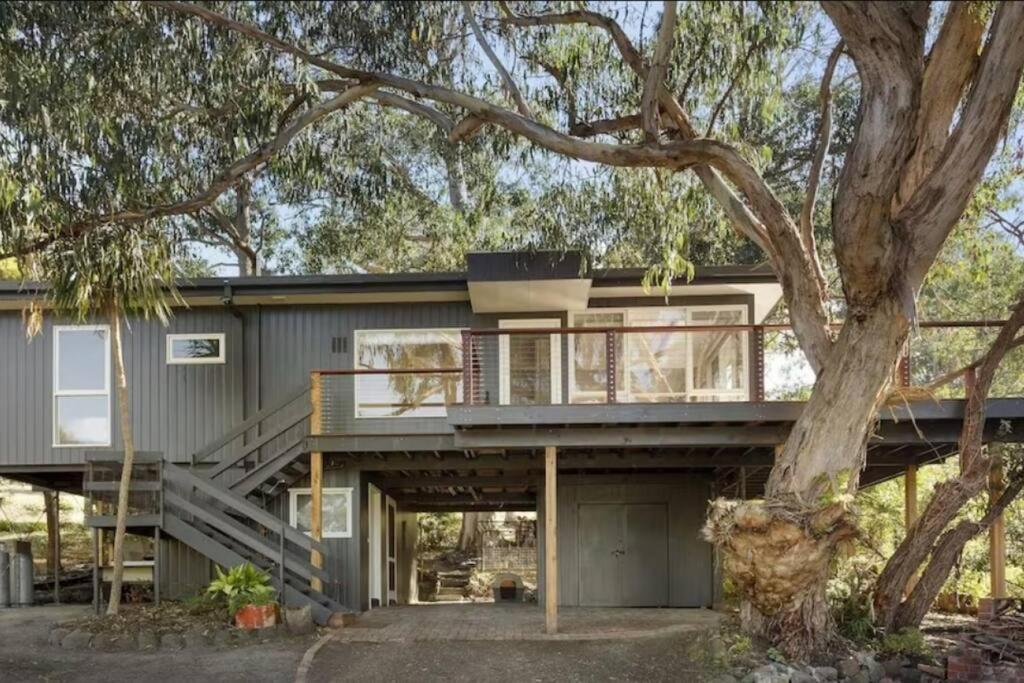 ein Haus mit einem großen Baum davor in der Unterkunft Whispering Gums - Ocean Views, Pet Friendly, EV UNIT 7kW for electric cars, Sleeps 7 in Lorne