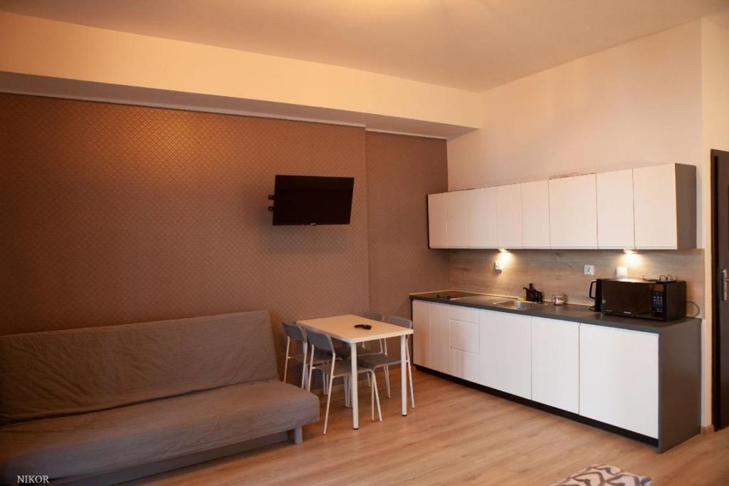a kitchen with a couch and a table in a room at Apartamenty Kattowitz Słowackiego in Katowice