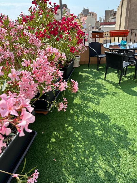 Zahrada ubytování Royal Inn Aparthotel