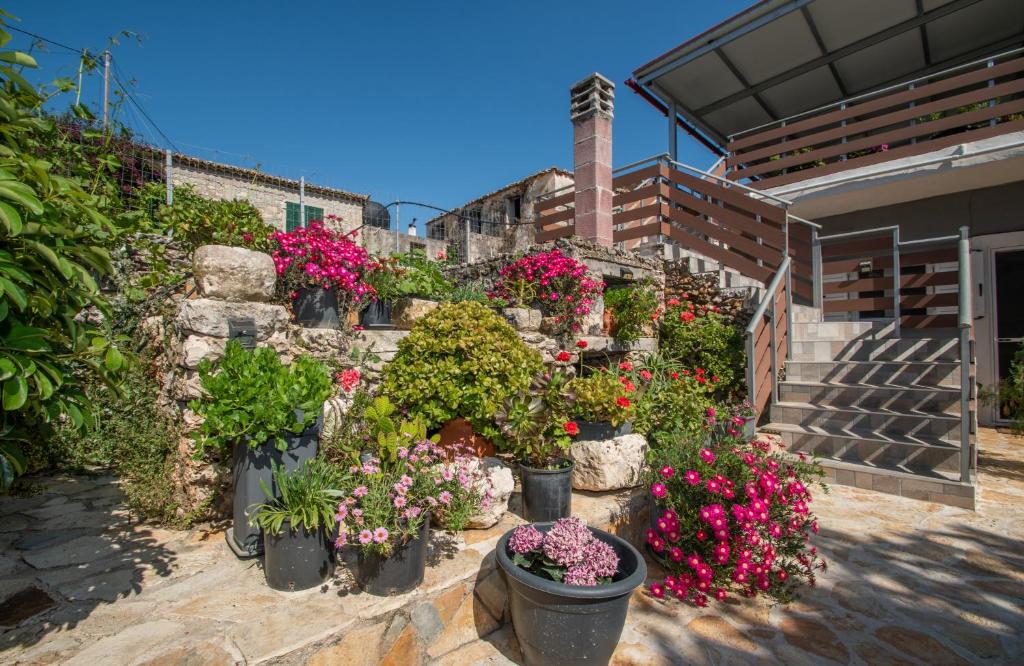 a bunch of flowers in pots in front of a house at SOHORO Forest Hill Apartment in Kampion