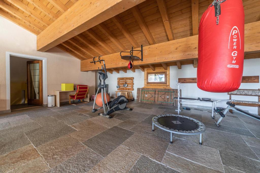 Fitnes oz. oprema za telovadbo v nastanitvi Residence Larice Bianco App n2