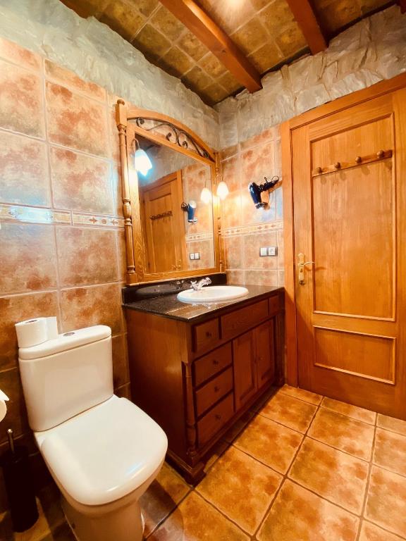 Apartamentos Els Ocells - Studio