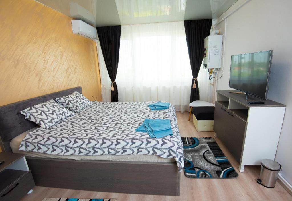 Ένα ή περισσότερα κρεβάτια σε δωμάτιο στο Studio zona Țiglina Flori