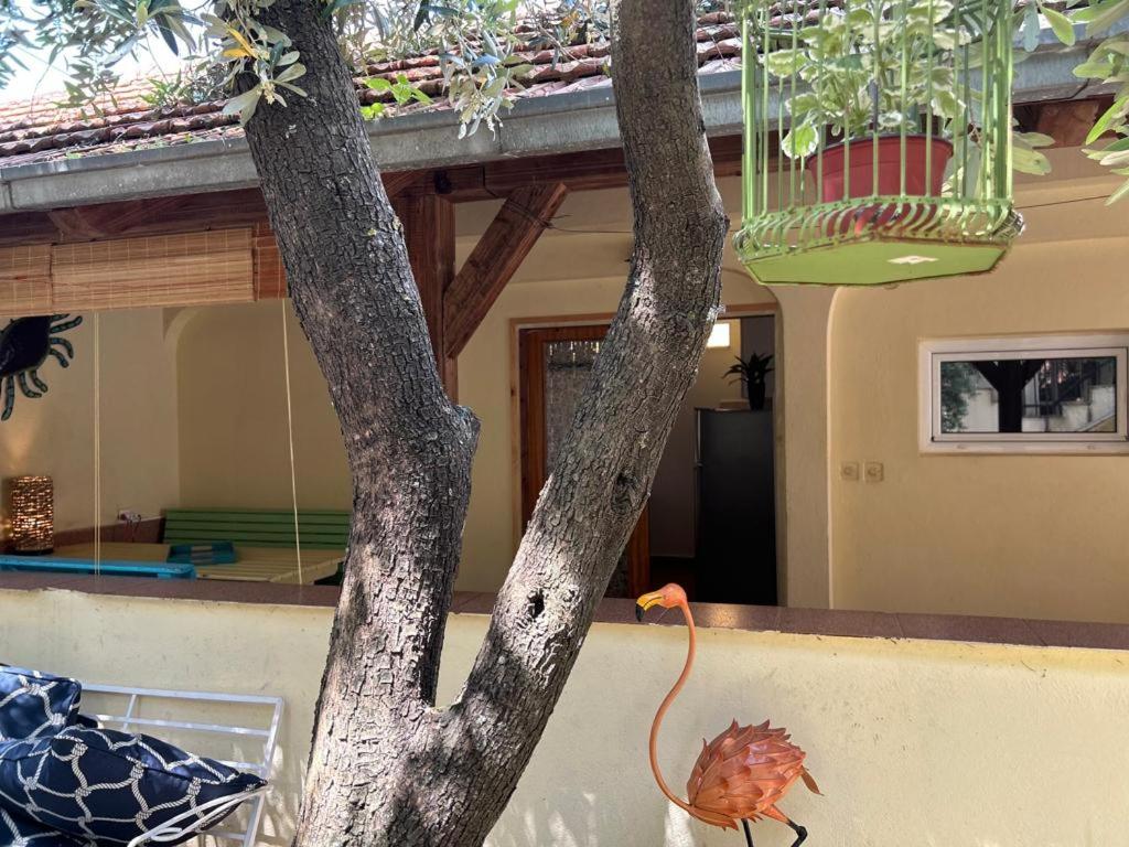 Foto dalla galleria di Villa Flamingo a Dobra Voda