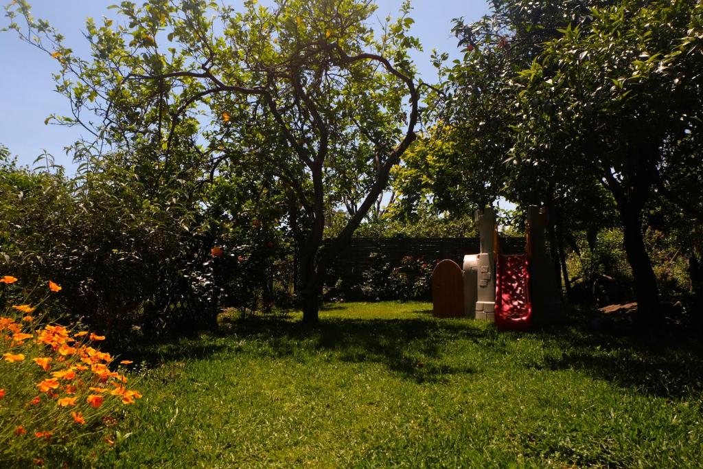Zahrada ubytování B&B CasaNera
