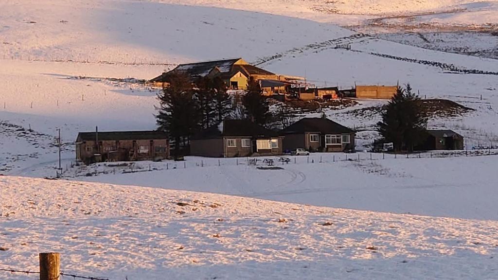 a house in the snow in a field with snow at Scotland Shooting Club Kirriemuir in Kirriemuir
