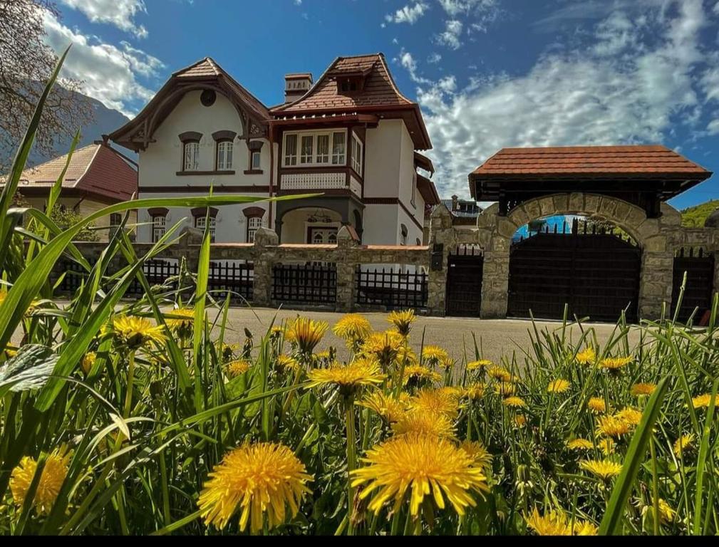 a house with a bunch of flowers in front of it at Vila Maresal in Buşteni