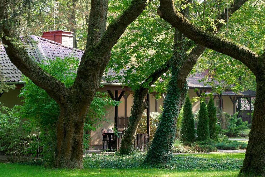 uma casa com um grupo de árvores no quintal em Lipowy Przylądek- Domek 12 