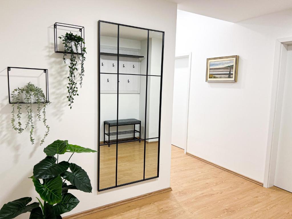 un miroir dans une pièce blanche avec une plante dans l'établissement Apartment VIČ, à Ljubljana