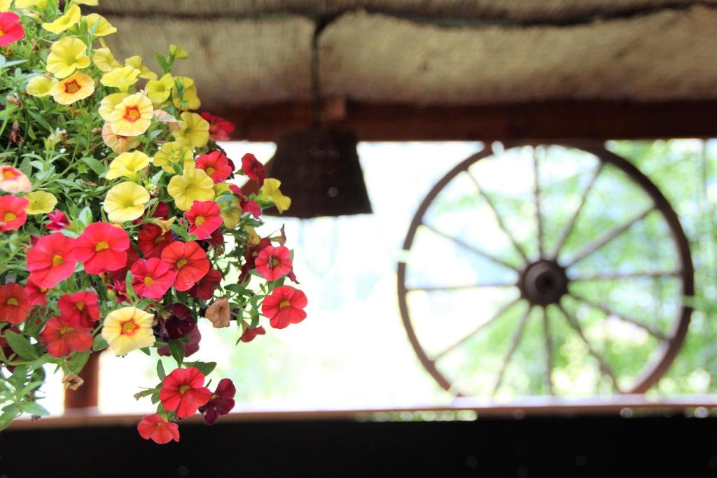um vaso de plantas com flores na frente de uma janela em Chata U Rybáře em Bítov
