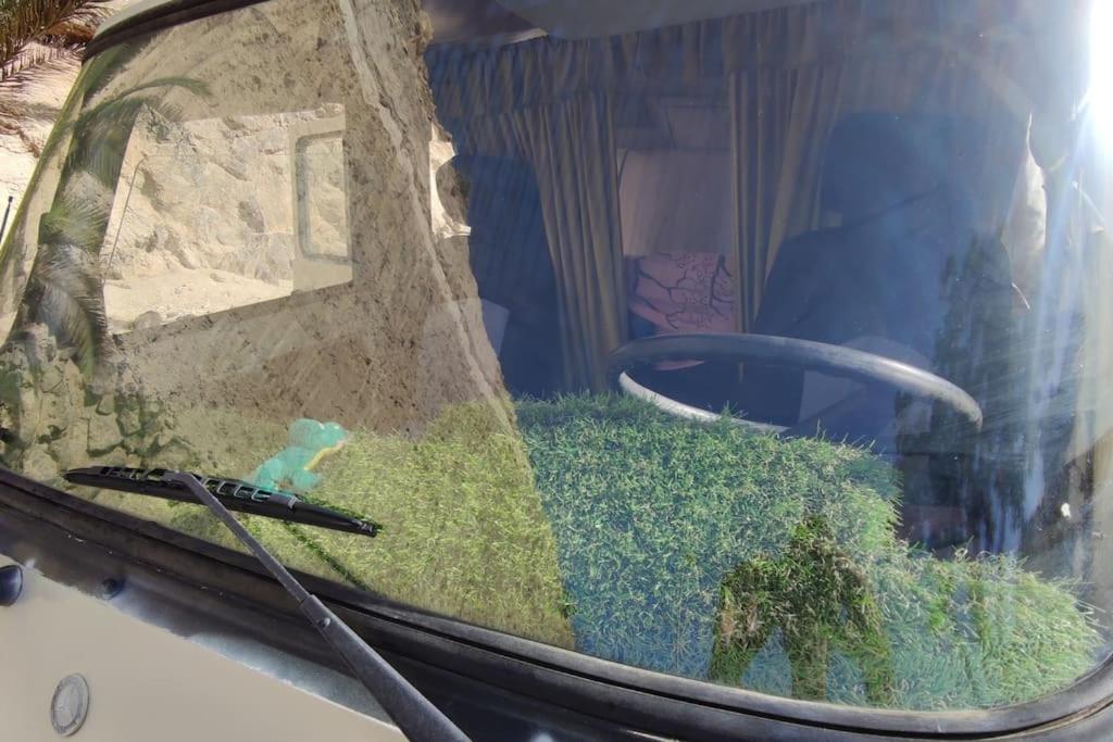 Vonkajšia záhrada v ubytovaní Tenerife Van Mercedes for drive in Canary island