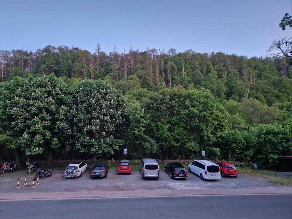 Příroda nedaleko hotelu