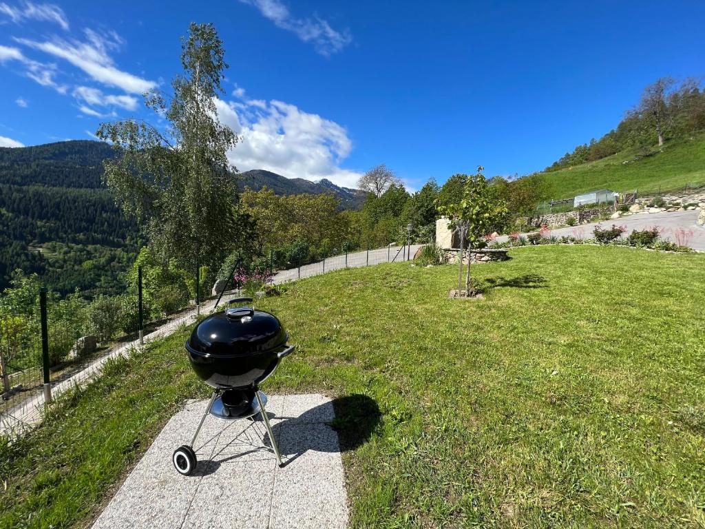 Příroda nedaleko apartmánu